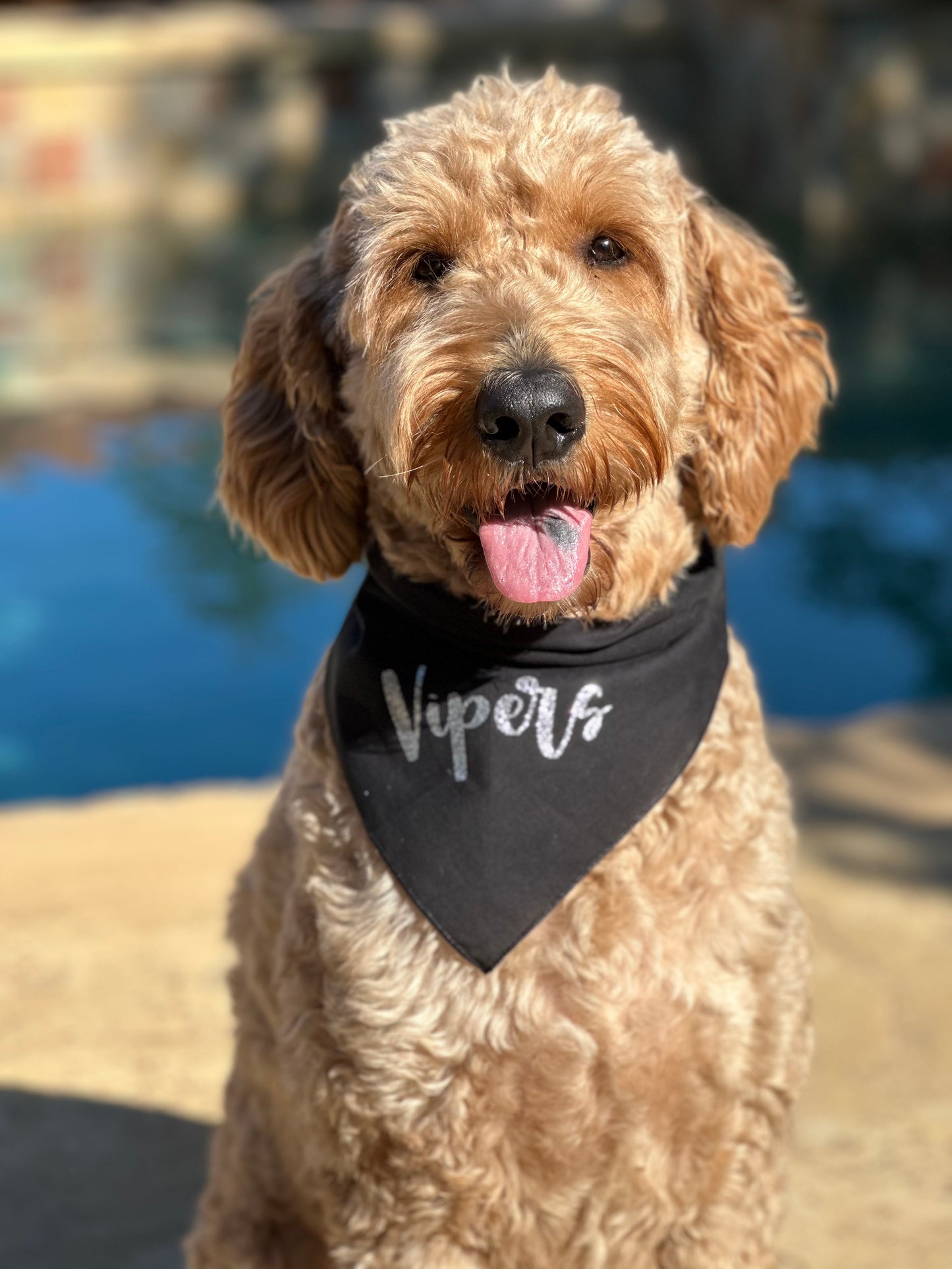 Viper Pet Bandana